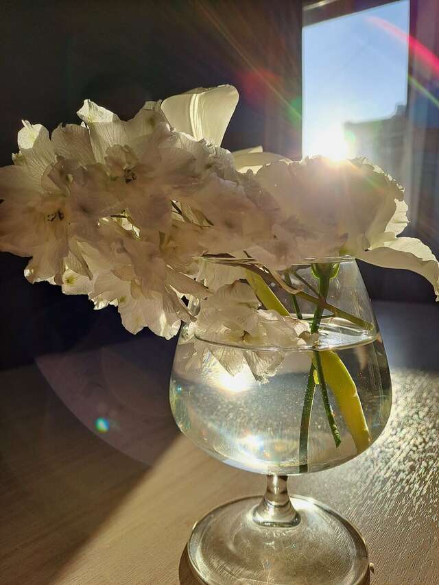 Гостиница Балтийская Санкт-Петербург-154