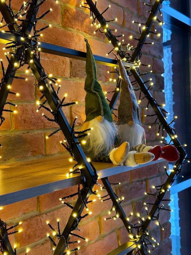 Гостиница Балтийская Санкт-Петербург-15