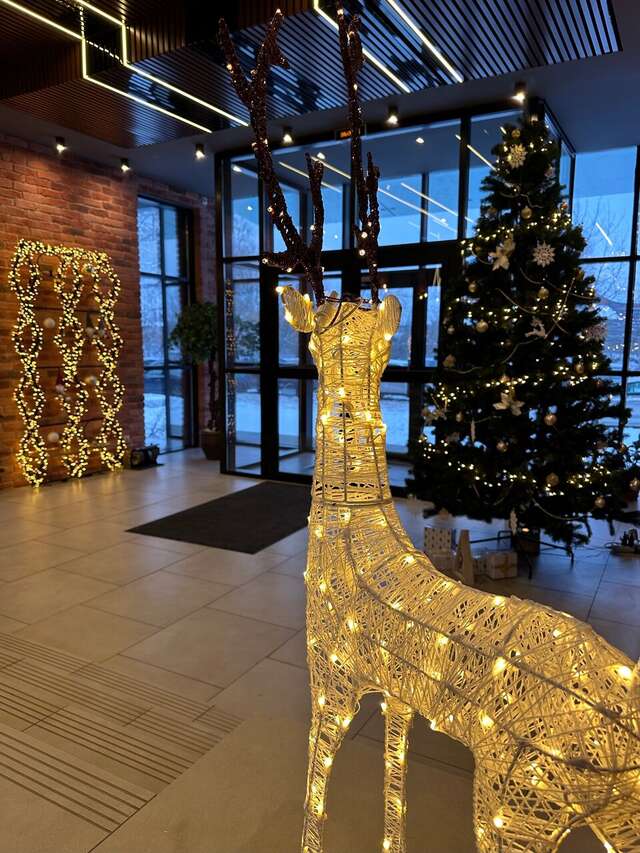 Гостиница Балтийская Санкт-Петербург-24